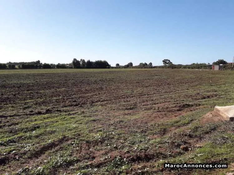 Terrain agricole - الجديدة