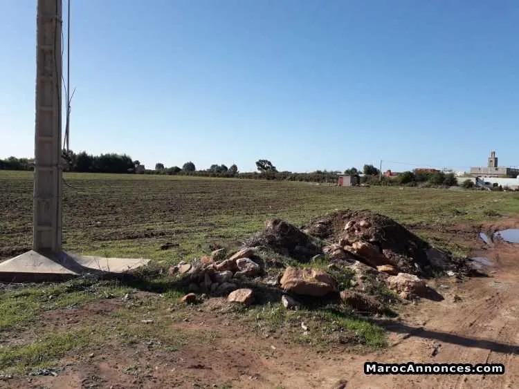Terrain agricole - الجديدة (3)
