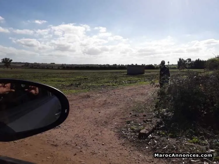 Terrain agricole - الجديدة (2)