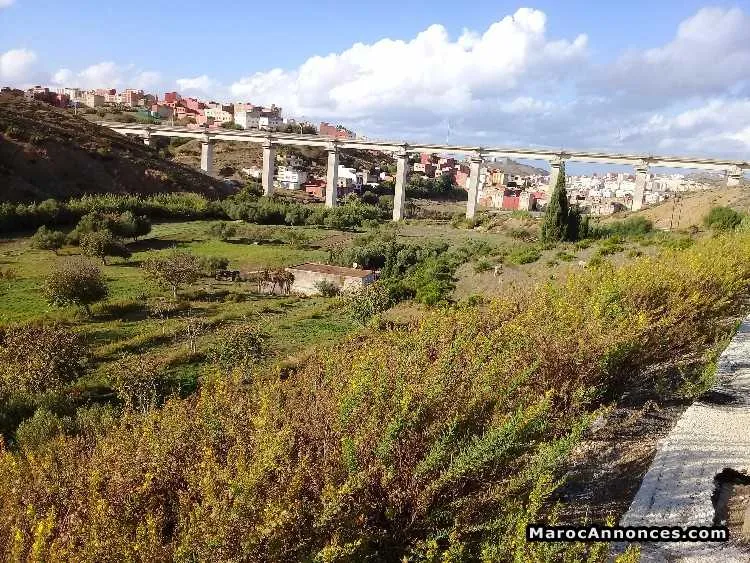 قطعة أرضية للبيع حدا مرجان مغوغة - طنجة