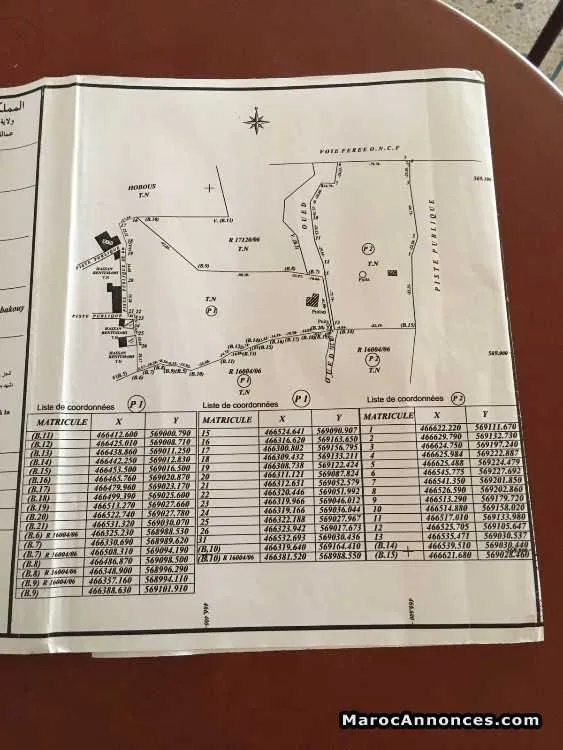 قطعة أرضية للبيع حدا مرجان مغوغة - طنجة (3)