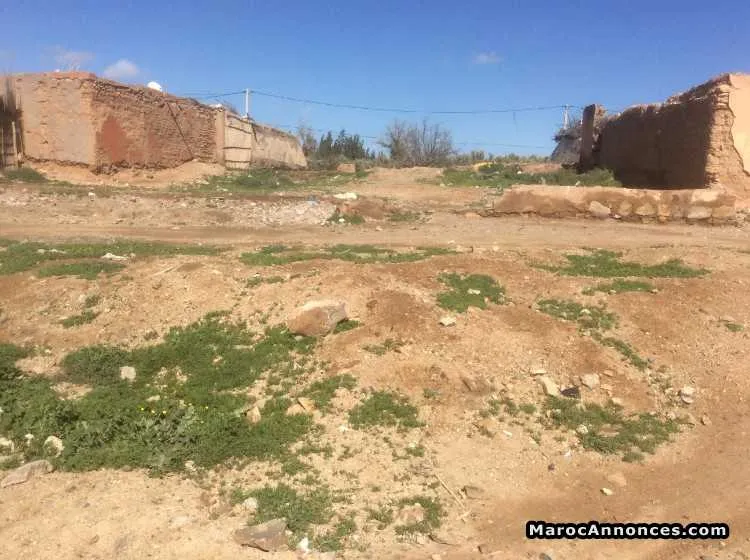 Terrain constructible - Tout le Maroc / (3)