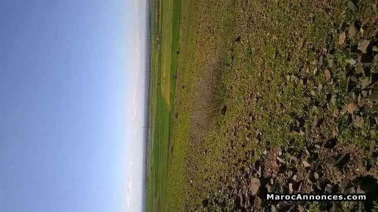 Terrain a vendre  ارظ للبيع - مراكش