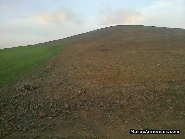 Terrain a vendre  ارظ للبيع - مراكش (3)