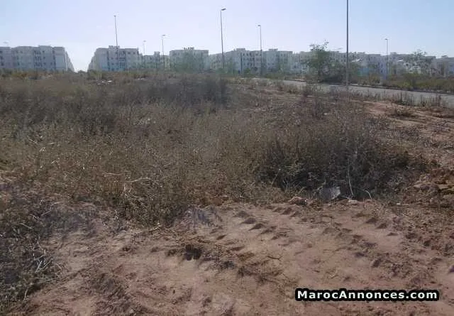 Terrain 161 m² à vendre, dar bouazza, casablanca - الدار البيضاء (3)