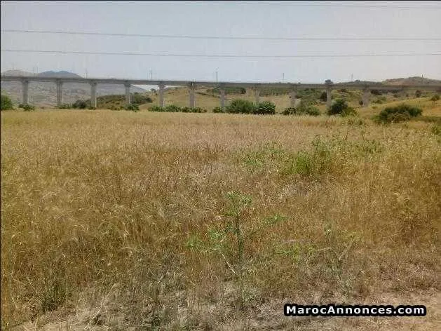 Terrain de 350m à elhad  el gharbia - طنجة (2)