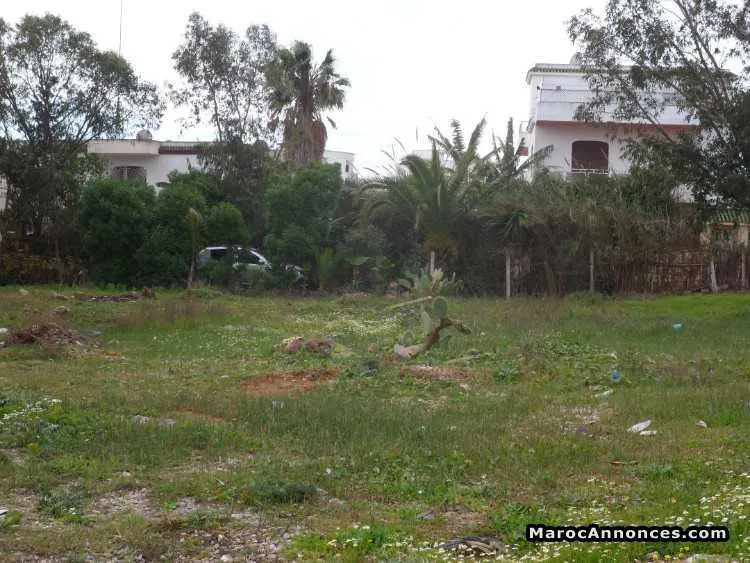 Terrain a vendre - طنجة