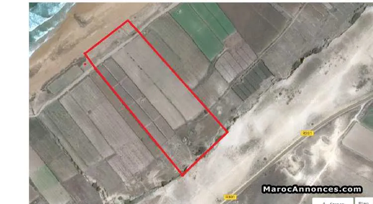 Terrain 3 hectares walja - الوليدية