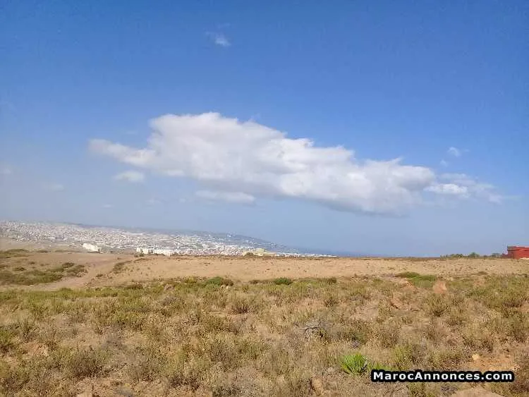 قطعة أرضية للبيع طنجة بالية - طنجة