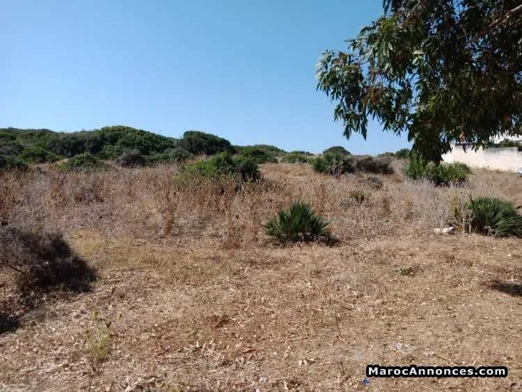 Terrain de 434 m2   à achakar - طنجة (3)