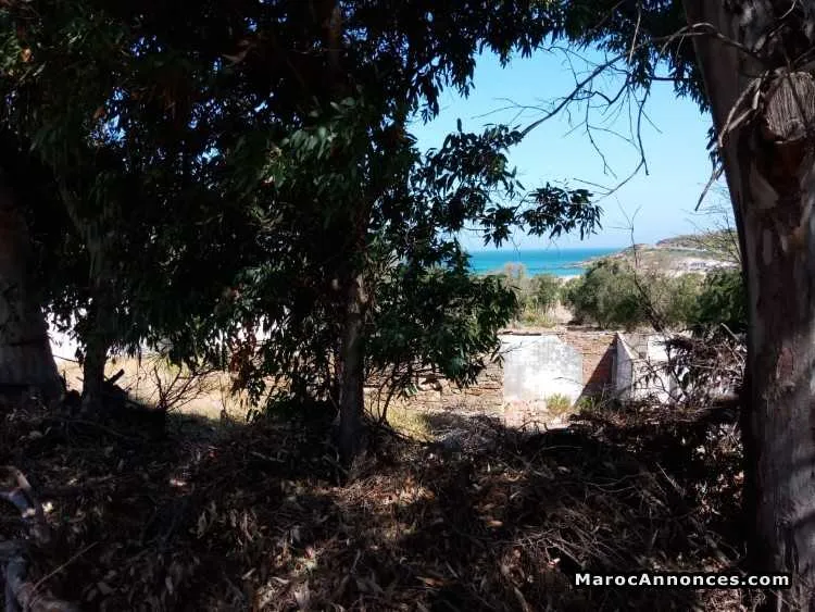 Terrain de 434 m2   à achakar - طنجة (2)