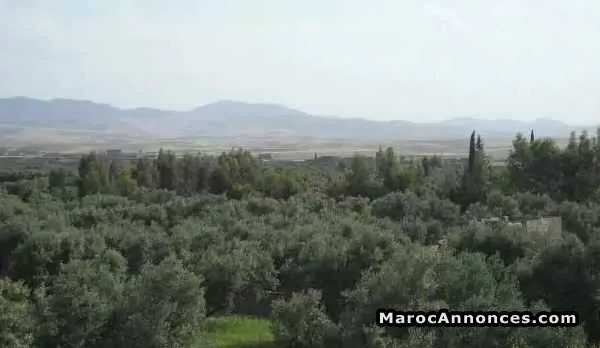 Terrain à   marrakech - مراكش (2)