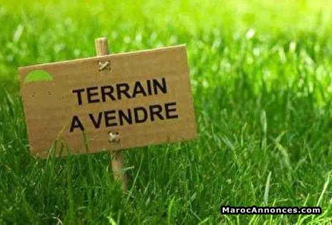 Terrain 140 m2 r+3 deux façades opposés - القنيطرة