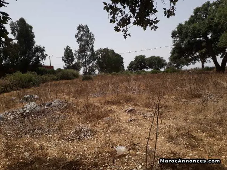 Terrain nu titré - بن سليمان (2)