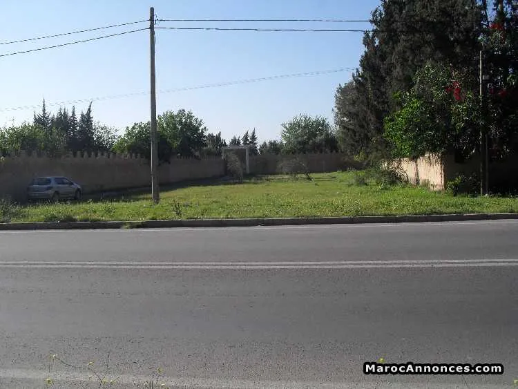 Vente terrain pour villa - تارودانت (2)