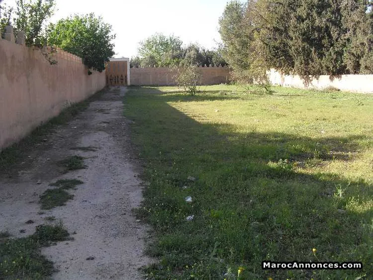 Vente terrain pour villa - تارودانت (3)
