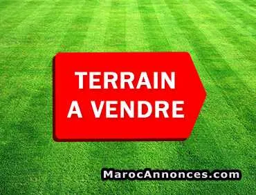 Lot de terrain de 3390m² vendre nador - الناظور