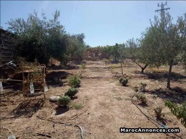 Terrain 12000 m2 avec bon prix - مراكش