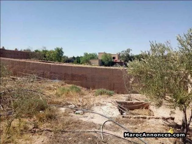 Terrain 12000 m2 avec bon prix - مراكش (3)