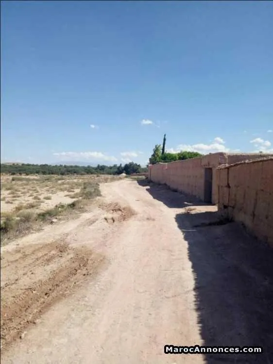 Terrain 12000 m2 avec bon prix - مراكش (2)
