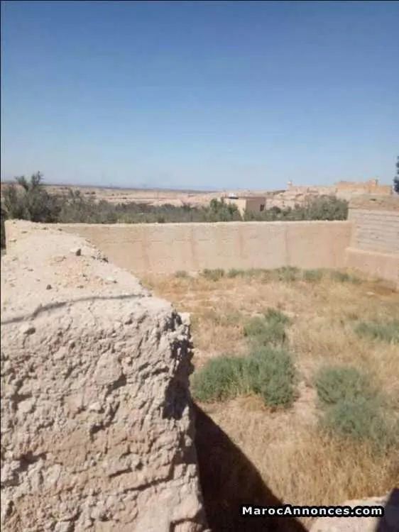 Terrain 216 m2   25 km a marrakech - مراكش (2)