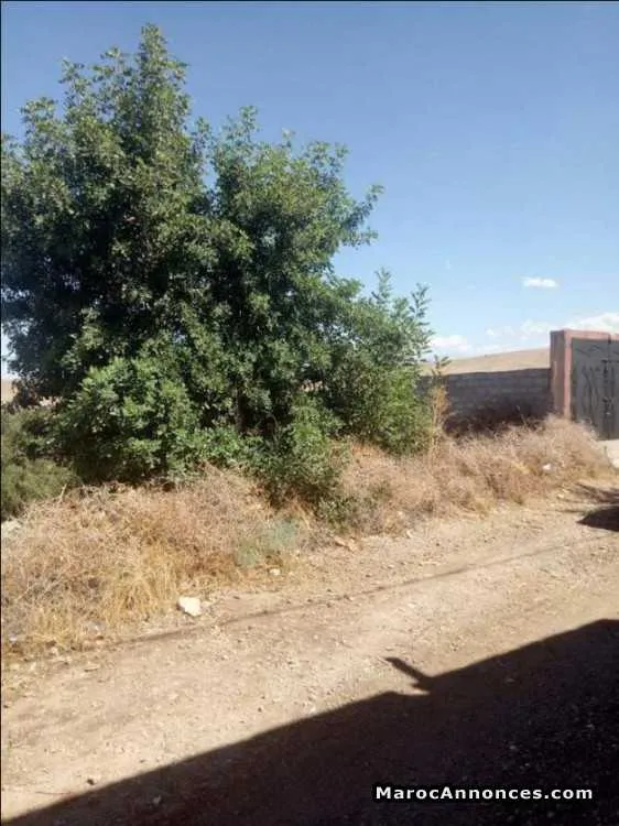 Terrain 2000 m2 a route amzmiz marrakech - مراكش (3)