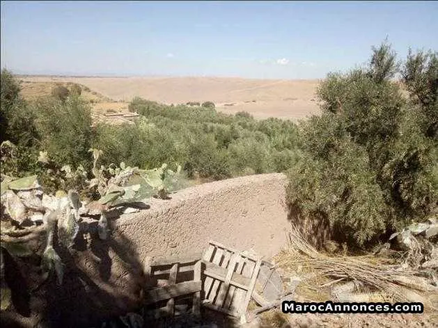 Terrain 2000 m2 a route amzmiz marrakech - مراكش