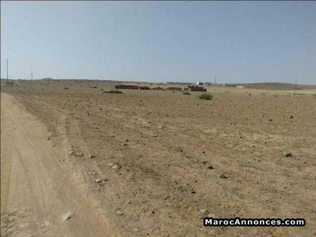 Terain de 17 hectar titrés a marrakech - مراكش