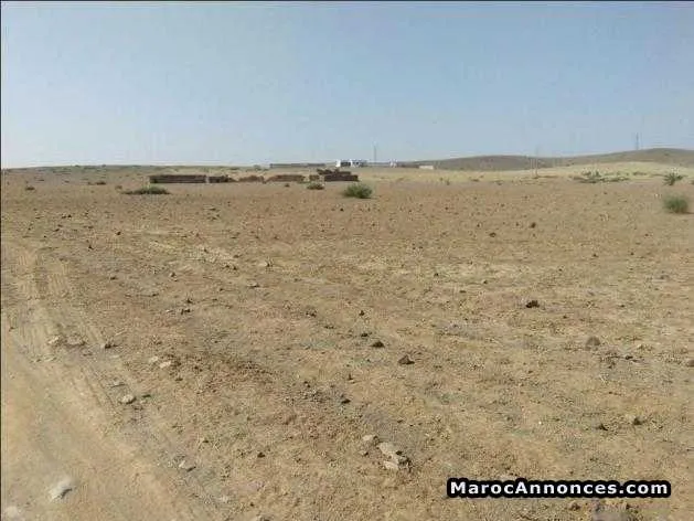Terain de 17 hectar titrés a marrakech - مراكش (2)
