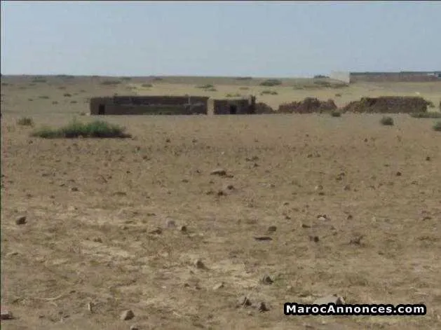 Terain de 17 hectar titrés a marrakech - مراكش (3)