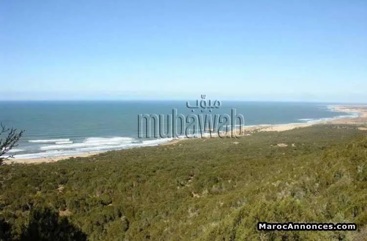 Terrain de 1000 m2 a essaouira - الصويرة