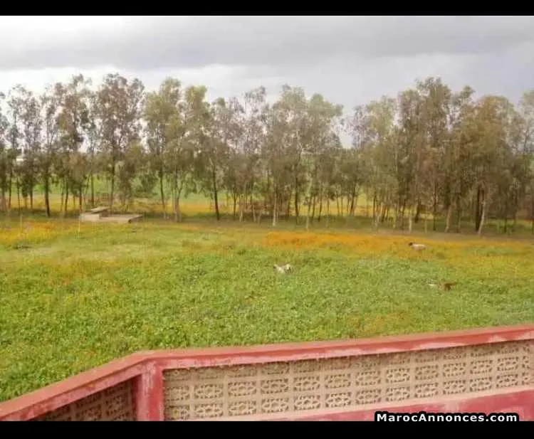 Terrain a vendre - الدار البيضاء