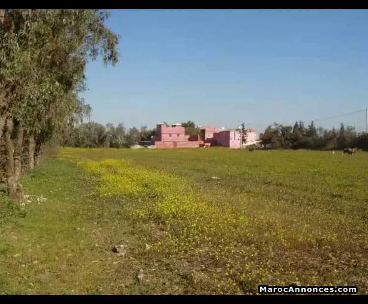 Terrain a vendre - الدار البيضاء (3)