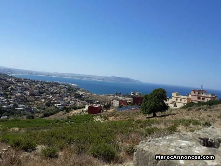 بقعة أرضية للبيع منطقة المنار المساحة - طنجة
