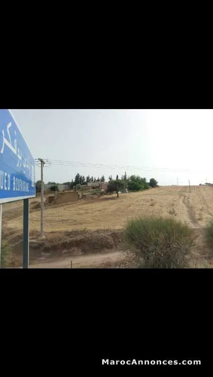 Terrain  meknès - مكناس