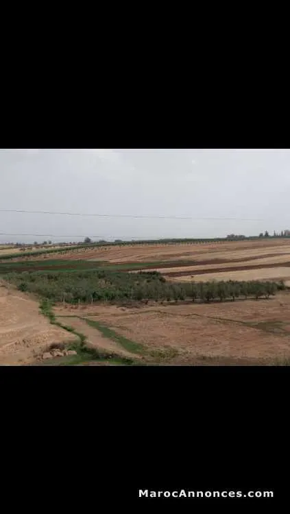 Terrain  meknès - مكناس (3)