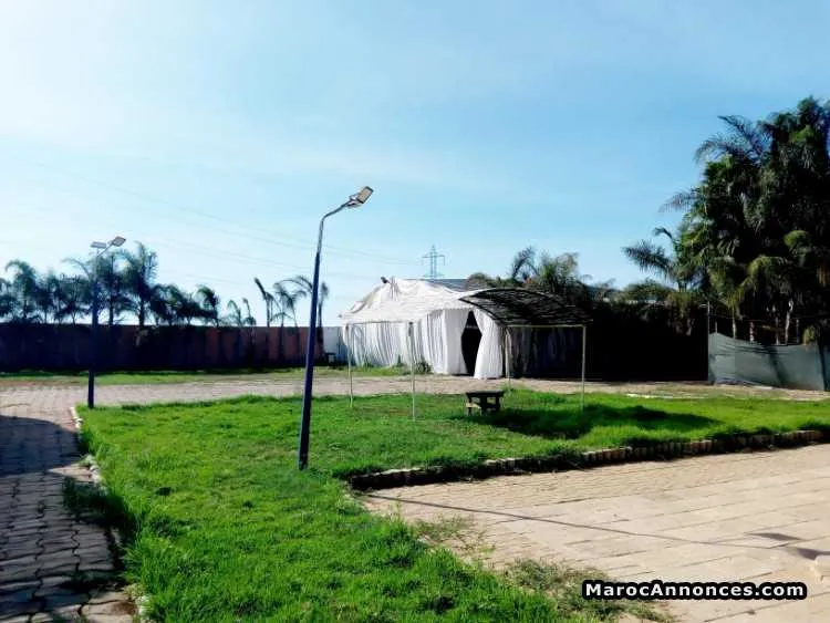 Terrain titré zone immeuble villa 1 ha assam - القنيطرة (2)