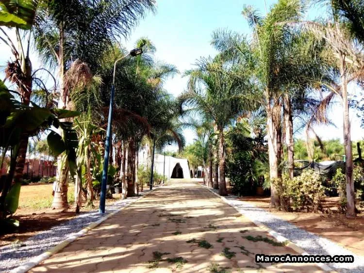 Terrain titré zone immeuble villa 1 ha assam - القنيطرة (3)