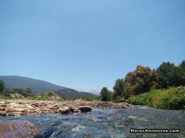 Terrain 5000m2 tahanaout marrakech - مراكش (3)