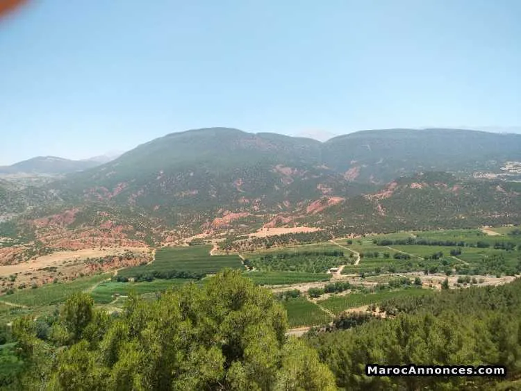 Terrain 5000m2 tahanaout marrakech - مراكش (2)
