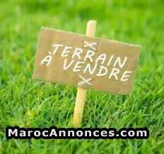 Terrain habitable - بوزنيقة