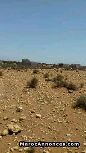 Terrain a takkad - أكادير (2)