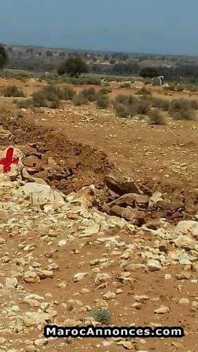 Terrain a takkad - أكادير (3)