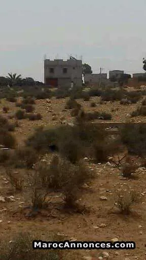 Terrain a takkad - أكادير