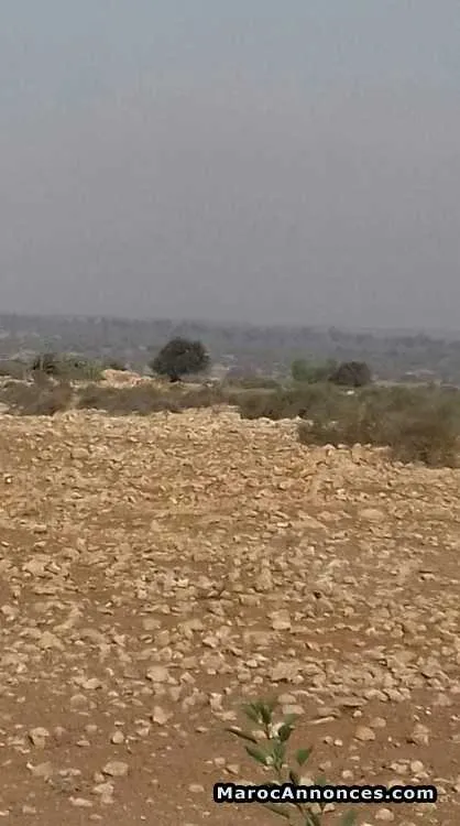 Terrain a takkad - أكادير (2)