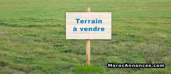 Terrain à vendre 3500 m2 - الدار البيضاء