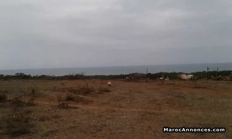Terrain à vendre à cap de l'eau - الناظور (3)