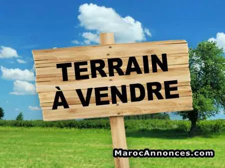 Terrain 1h titré à vendre à berrechid - برشيد