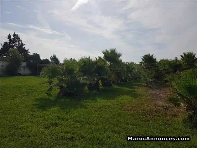 Terrain pour villa à labissa bouskoura - الدار البيضاء (2)