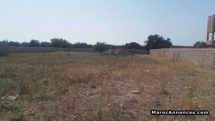 Terrain à vendre 3000m - الصويرة